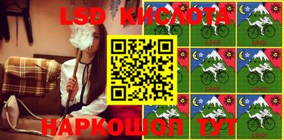 гашик Кулебаки
