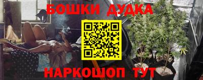 гашик Кулебаки