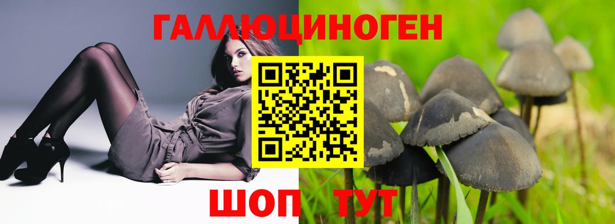 Еманжелинск  Псилоцибиновые грибы мухоморы  Вход с VPN 